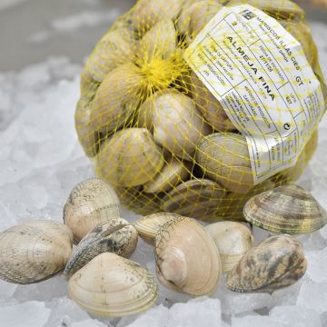 Almeja fina de las Rías Baixas