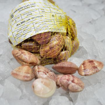 Almeja rubia de las Rías Baixas